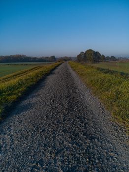 Long path full of small stones between green and yellow fields and bushes