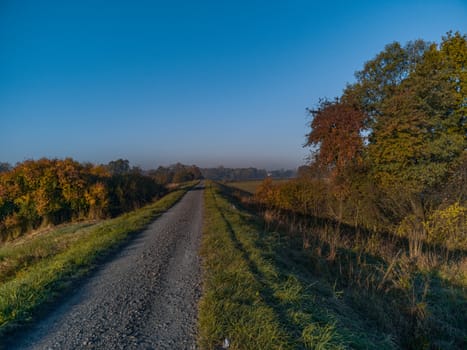 Long path full of small stones between green and yellow fields and bushes