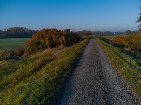 Long path full of small stones between green and yellow fields and bushes