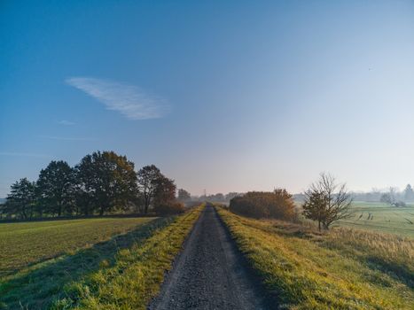 Long path full of small stones between green and yellow fields and bushes