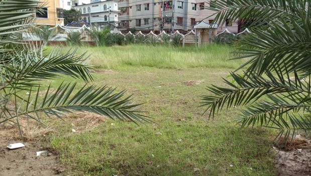 appartment view with nature on city