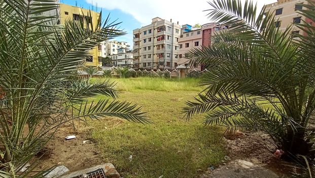 appartment view with nature on city