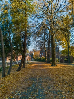 Long path between autumn trees full of fall leaves