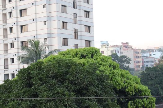 appartment view with nature on city