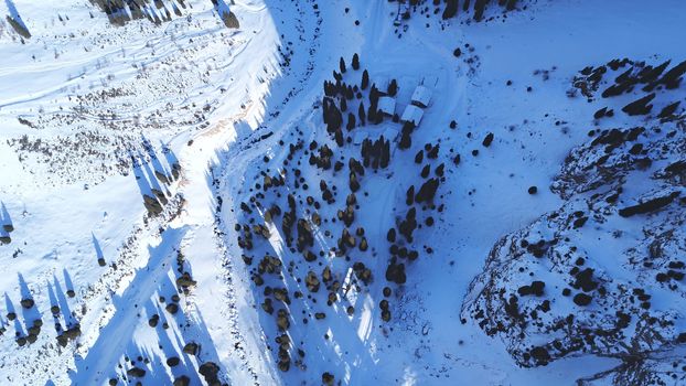 Winter gorge, fir trees and a group of people. Ready-made trail through the snow gorge. A group of climbers is walking along it. Top view from a drone. The shadows of the trees fall on the deep snow.