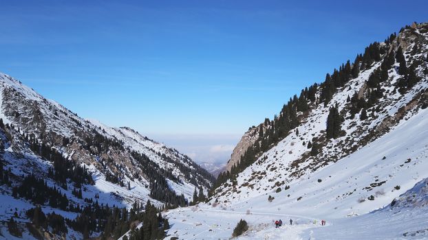 High snowy mountains, spruce trees grow in places. Huge rocks and cliffs, gorges where there may be an avalanche. Top view from a drone. Sunny day, shadows from the mountains fall on the snow. Almaty