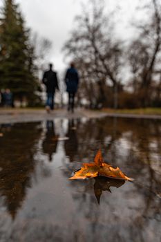 Small orange curled leaf in small puddle in park and walking people reflected in puddle