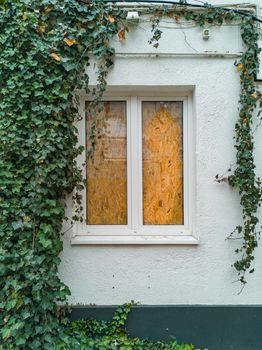 Window with OSB board behind with green ivy around on abandoned building