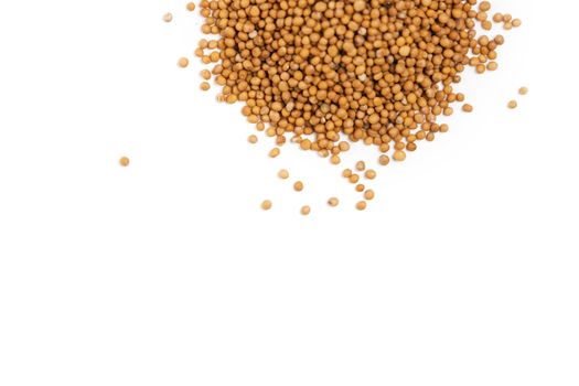 White mustard seeds for germination in heap isolated on a white background.