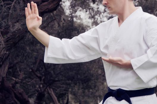 Sportsman martial art taekwondo training, in karate position. MMA - Mixed martial art. Selective focus on fist. Portrait of screaming karate master instructor.