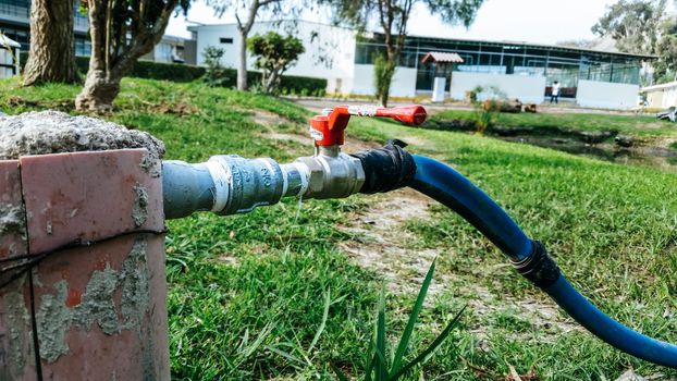Hose connected to the water pipe on the green grass. The hose is blue and the silver pipe with red key.