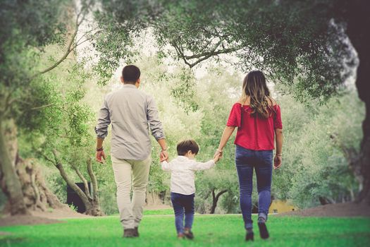 Rear view of young family holding hands walking in forest