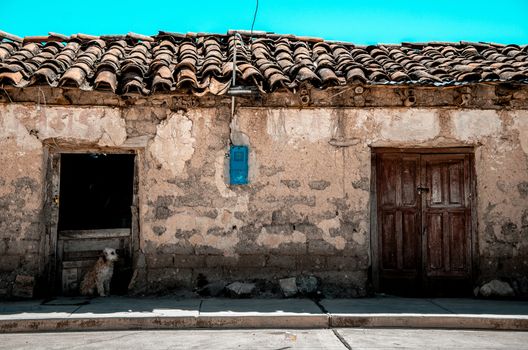 An old house in Ayacucho - Peru where a cute puppy was sitting in the entrance