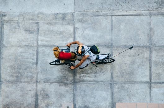 Man with his dog in the front of his bicycle, view from above