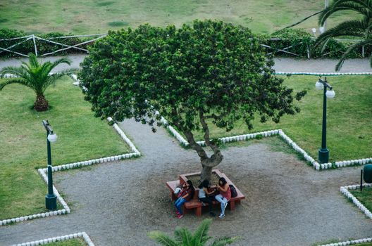 Group of friends three women , sitting on bench in park separately looking at their phones loosing communication. people using their phones and sending texts as they stand beside each other