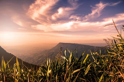 grass and mountains with the sky in evening.