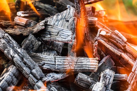 Burning wood chips forming coal. Barbecue preparation, fire before cooking. Hot coal made of greatly heated wood.