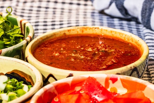 Close up of traditional rustic bowl with homemade tomatoes sauce.