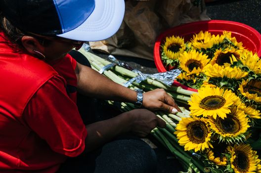 Preparation of floral carpets in the Holy Week or Easter Week in Lima - Peru