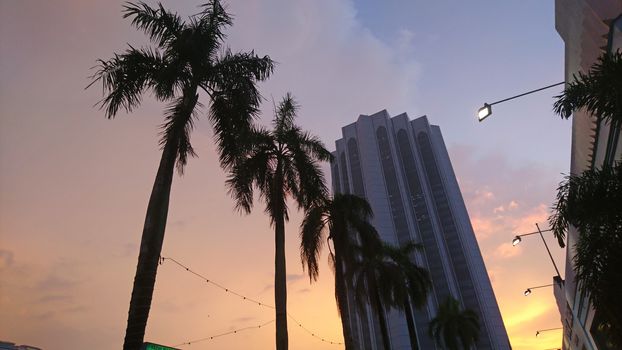 View of palm trees and building at sunset. The city landscape is like a GTA game. A colored sky, a tall building, a street lamp, a whole street, and palm trees in a row. Evening city landscape.