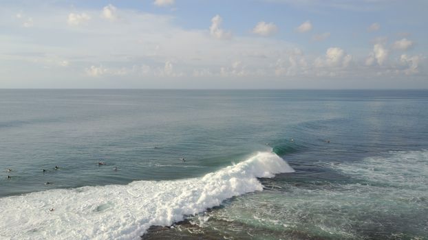 Surfers catch waves at Uluwatu beach, Bali. Huge waves stretch along the beach. A lot of people with boards are catching waves. The wave swirls into the tube, a huge foam. View from a drone.