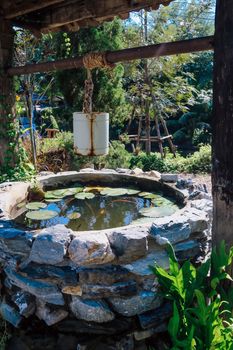 Image of Iron bucket with water well