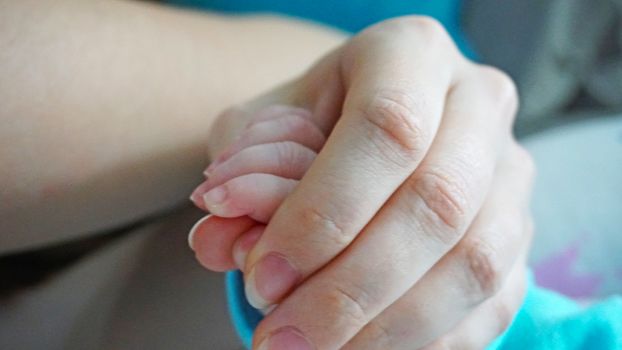 A newborn child's nails are cut with special baby scissors. An adult hand holds a small child's hand. Carefully, the mother cuts her daughter's nails. A child in a cocoon, home environment. Trust.