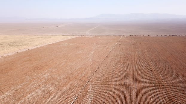 Aerial view of autumn farm fields from a drone. One field is red, the other yellow. In the distance, you can see hills, blue sky and steppe. Dry land. Workers are standing, a car is driving. Harvest.