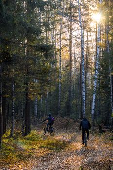 Cycling in the autumn forest. Tourist bike