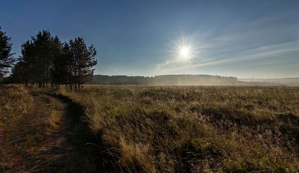 Dry grass on the field and blue sky. Nature landscape.