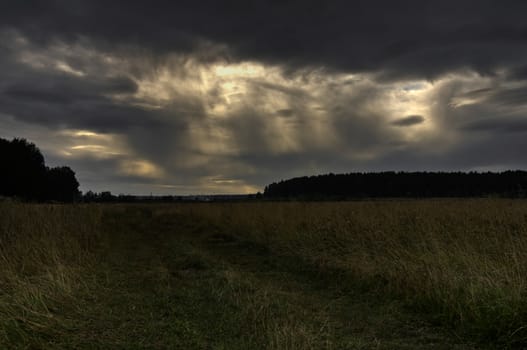 Nature landscape is forest and grass. Beautiful landscape.