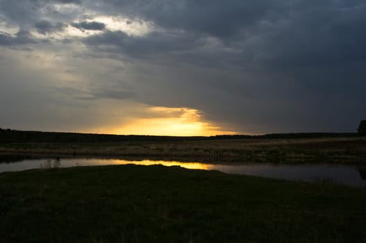 Nature landscape is forest and grass. Beautiful landscape.