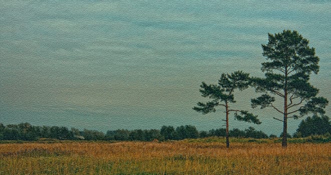 Nature landscape is forest and grass. Beautiful landscape.