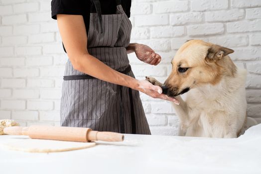 Home cooking. Woman kneading dough at home with her dog sitting by