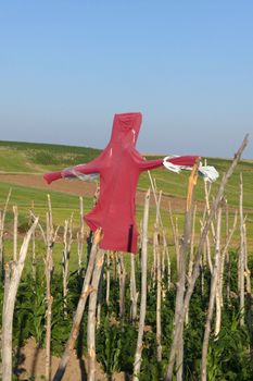 garden scarecrow in a garden, scarecrow made of human clothing,