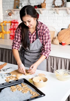 Cooking and baking. Young brunette woman baking cookies at the kitchen