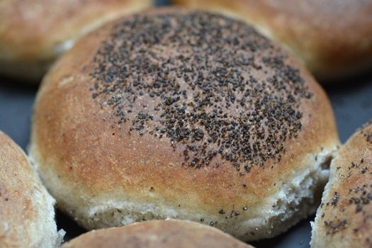 Close up of homemade hamburger bun with poppy seeds