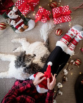 Christmas and New Year. Top view of woman in funny socks celebrating Christmas with her dog