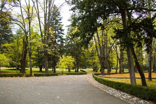 Park and garden in Tsinandali, Kakheti, Georgia. Autumn park landscape.