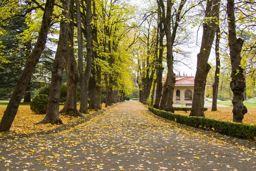 Park and garden in Tsinandali, Kakheti, Georgia. Autumn park landscape.