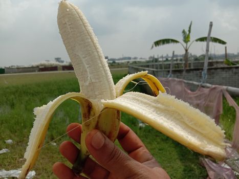 tasty and healthy expanded banana closeup on hand