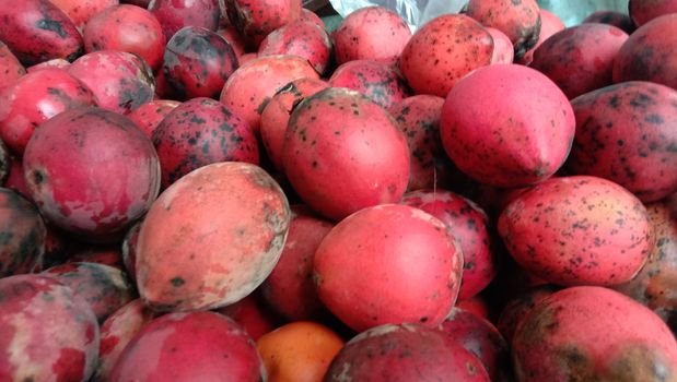Tasty And Healthy Velvet apple Stock On Shop