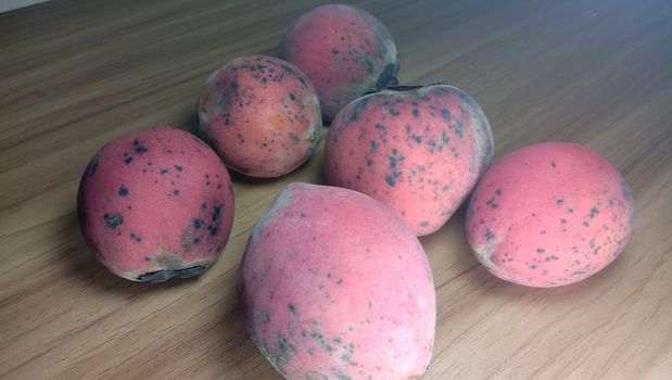 Tasty And Healthy Velvet apple Stock On Shop