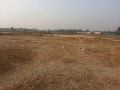 Arid brown grassland view of a rural land in hot weather on sunny day under blue sky