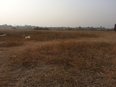 Arid brown grassland view of a rural land in hot weather on sunny day under blue sky