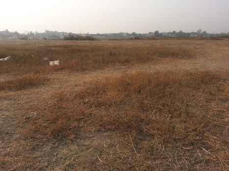 Arid brown grassland view of a rural land in hot weather on sunny day under blue sky