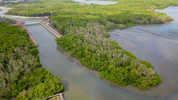 Aerial view drone video of mangroves on Bali island, Indonesia. Serangan island.