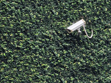 CCTV camera recording safety in our property on nature background