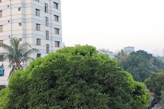 apartment building view for living on city