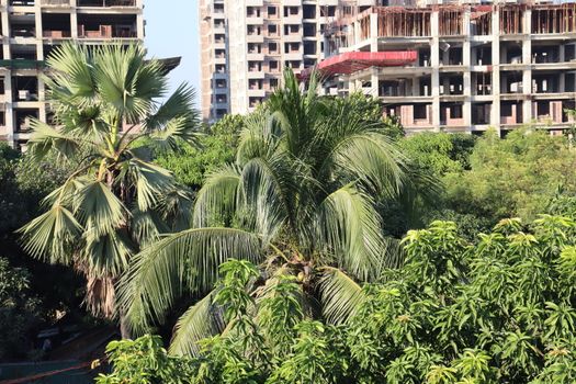 apartment building view for living on city